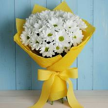 Букет цветов из:  Хризантемы в Пурпе