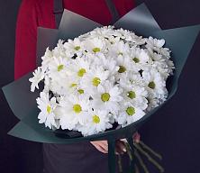 Букет цветов из:  Хризантемы #REPLACE_PRED# Пурпе