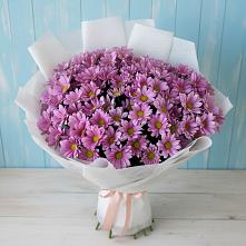 Букет цветов из:  Хризантемы в Пурпе