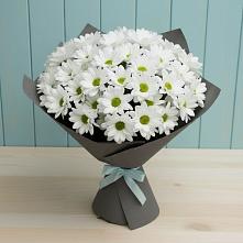 Букет цветов из:  Хризантемы в Пурпе