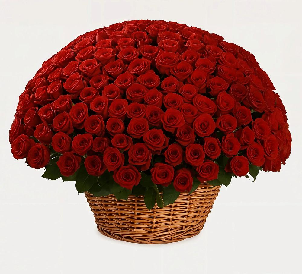 Премиум букет из: Розы в Пурпе