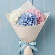 Букет цветов из:  Гортензия в Пурпе