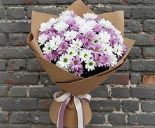 Букет цветов из:  Хризантемы в Пурпе
