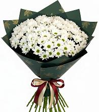 Букет цветов из:  Хризантемы #REPLACE_PRED# Пурпе