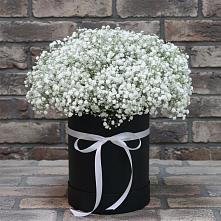 Цветочная композиция из Гипсофила в шляпной коробке в Пурпе