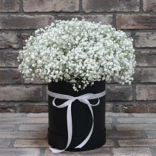 Цветочная композиция из Гипсофила в шляпной коробке в Пурпе