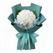 Букет цветов из:  Гортензия в Пурпе